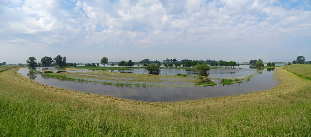 IJssel tussen Zalk en Kampen